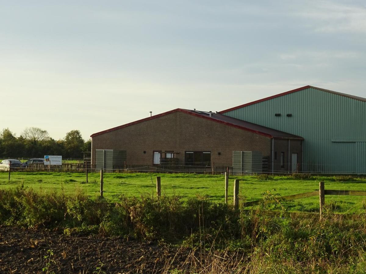 Kustverhuur, Oude Manege Nieuwvliet, Nieuwvliet 3 - 9 Экстерьер фото